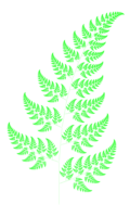 fractal fern