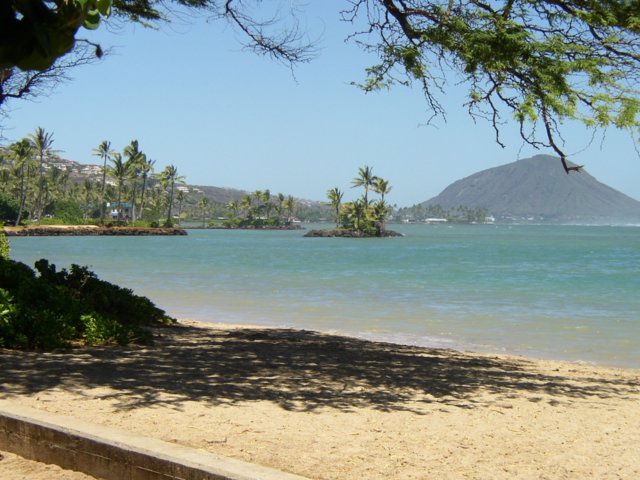 beach scene